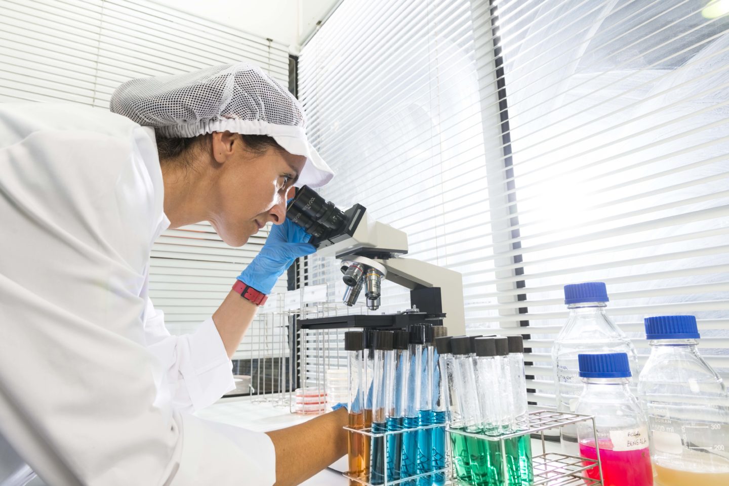 Carinsa functional foods