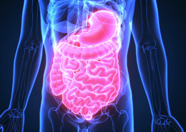 dietary interventions