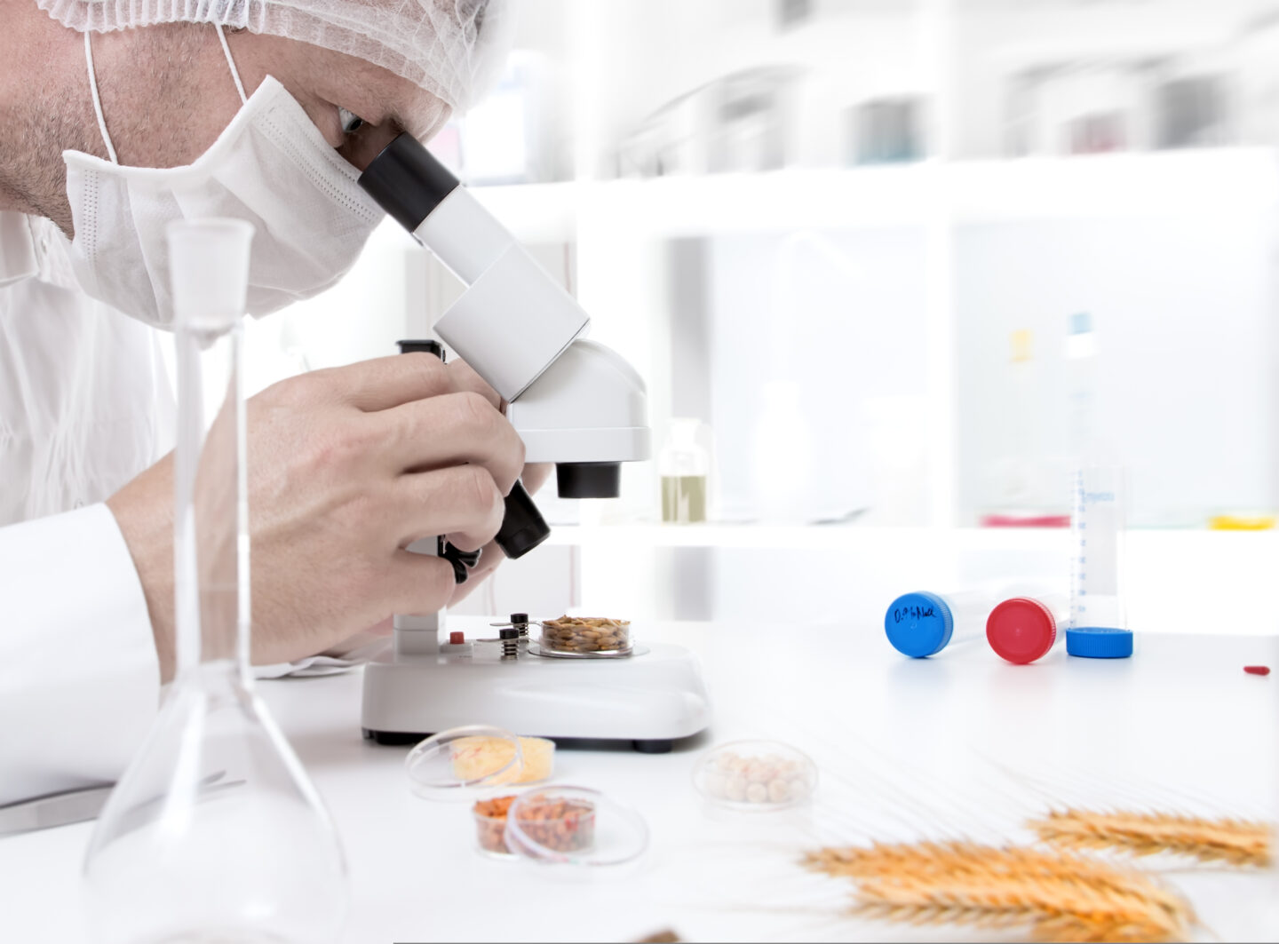 Laboratory,Assistant,In,The,Laboratory,Of,Of,Food,Quality food intake biomarkers